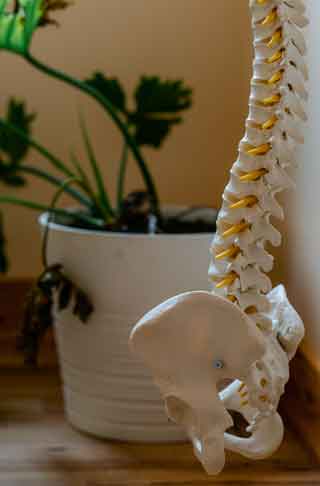 Osteopathy